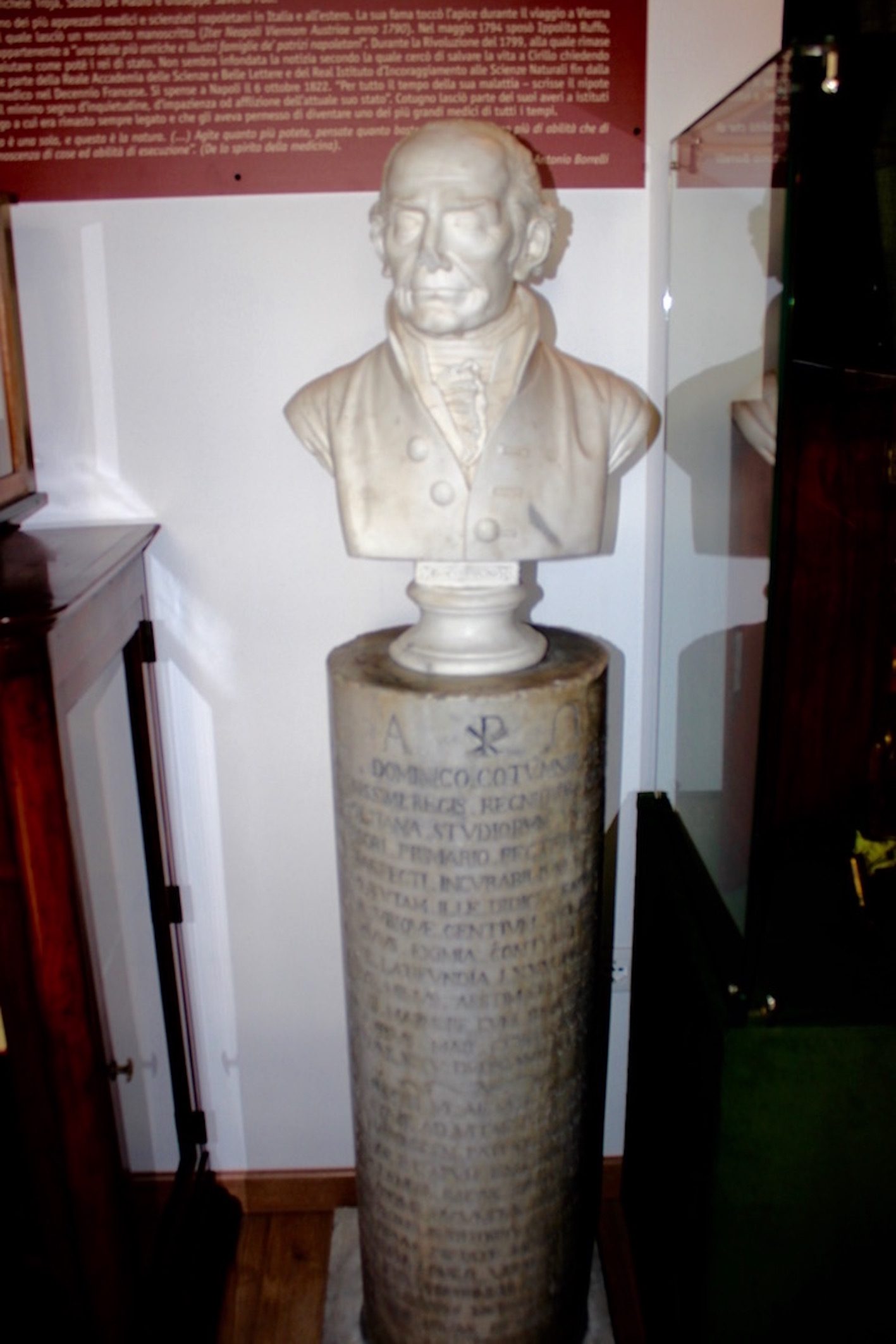 Domenico Cotugno's bust.jpg